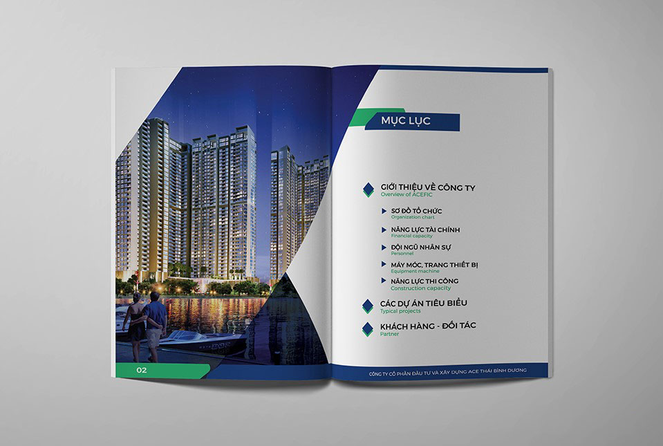 Mẫu thiết kế profile CTCP Đầu tư và XD ACE Thái Bình Dương