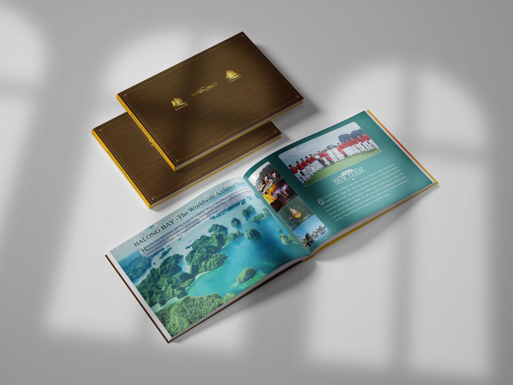 Thiết kế catalogue